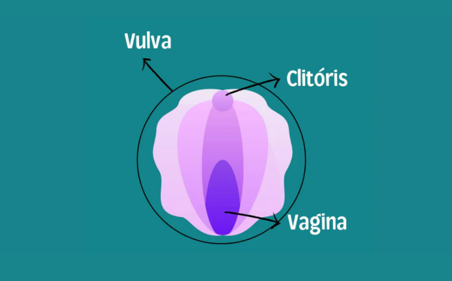 Vulva, Clitóris e Vagina: Sabes onde estão?
