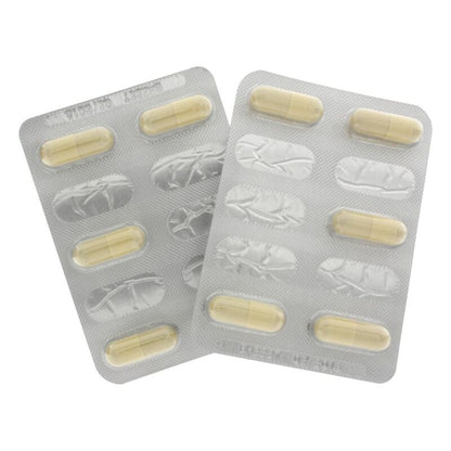 HOT - EXTREME LIBIDO CAPS WOMEN 10 PCS