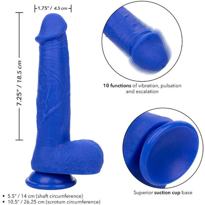 CALEXOTICS - ADMIRAL CAPTAIN REALISTIC BLUE VIBRATING DILDO