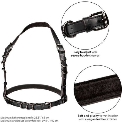 CALEXOTICS - EUPHORIA BLACK HALTER BUCKLE HARNESS
