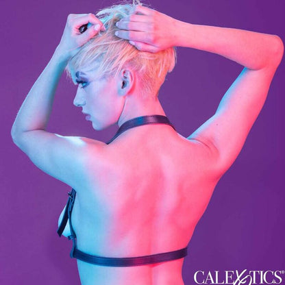 CALEXOTICS - EUPHORIA BLACK HALTER BUCKLE HARNESS