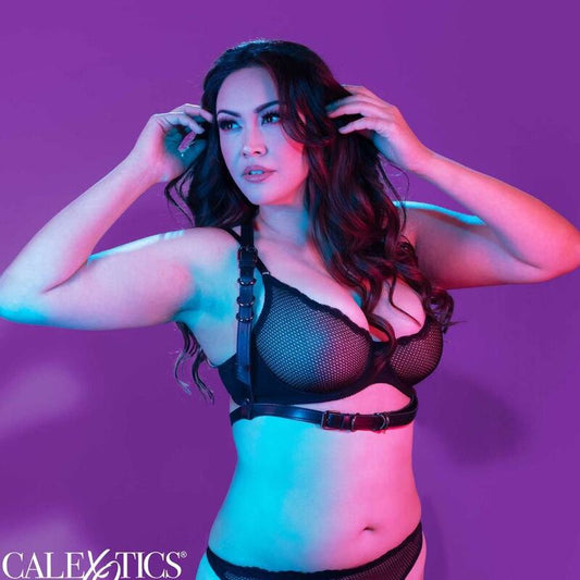 CALEXOTICS - EUPHORIA PLUS SIZE HALTE CON HEBILLA ARNÉS NEGRO