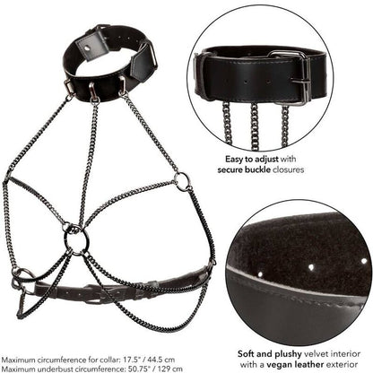 CALEXOTICS - EUPHORIA PLUS SIZE MULTI CHAIN ​​COLLAR HARNESS