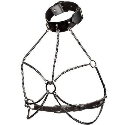 CALEXOTICS - EUPHORIA PLUS SIZE MULTI CHAIN ​​COLLAR HARNESS