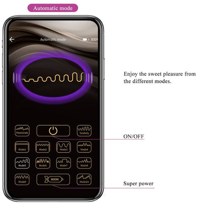 PRETTY LOVE - ETHAN PURPLE RECHARGEABLE VIBRATOR