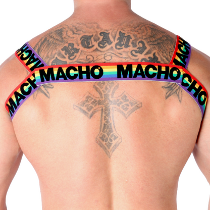 MALE - DOUBLE HARNESS PRIDE LIMITED