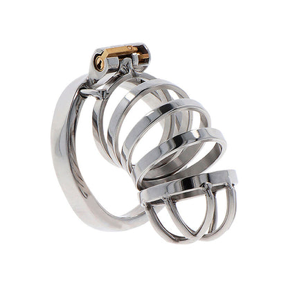 HIDDEN DESIRE - EXTREME METAL CHASTITY COCK CAGE