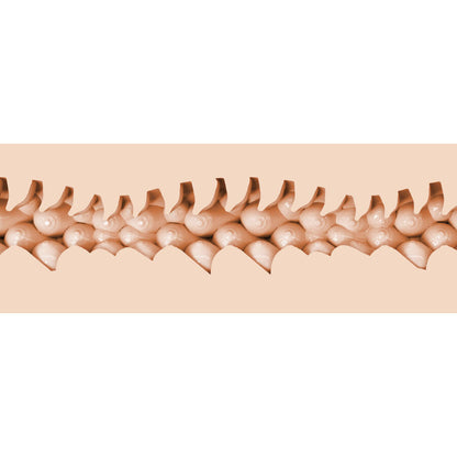 FLESHLIGHT FANTASIA - EVIE AKASHIYA VAGINA