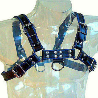 LEATHER BODY - BULLDOG CHEST BLACK/BLUE LEATHER HARNESS