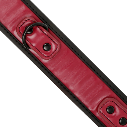 FETISH SUBMISSIVE DARK ROOM - NEOPRENE LINED CHAIN ​​NECKLACE